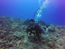 Hawaii Scuba divng 04