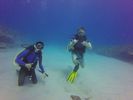 Hawaii Scuba divng 51