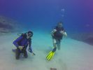 Hawaii Scuba divng 51