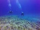 Hawaii Scuba divng 52