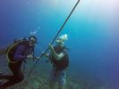 Hawaii Scuba divng 56