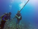 Hawaii Scuba divng 56