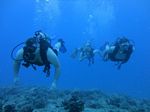 Hawaii Scuba divng 10