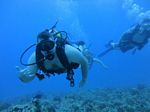 Hawaii Scuba divng 11