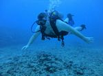 Hawaii Scuba divng 12