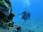 Hawaii Scuba divng 33