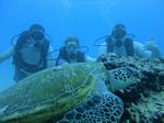 Hawaii Scuba divng 37