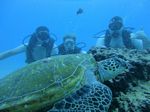 Hawaii Scuba divng 38