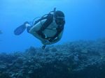 Hawaii Scuba divng 48