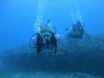 Hawaii Scuba divng 49