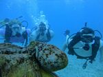 Hawaii Scuba divng 51