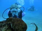 Hawaii Scuba divng 53