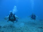 Hawaii Scuba divng 56