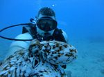 Hawaii Scuba divng 59