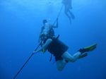 Hawaii Scuba divng 05