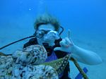 Hawaii Scuba divng 62