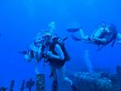 Hawaii Scuba divng 20