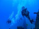 Hawaii Scuba divng 26