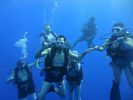 Hawaii Scuba divng 31