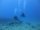 Hawaii Scuba divng 41