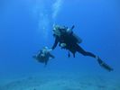 Hawaii Scuba divng 42