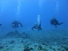 Hawaii Scuba divng 43