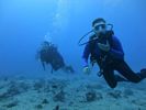 Hawaii Scuba divng 44