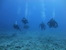 Hawaii Scuba divng 60