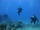 Hawaii Scuba divng 65