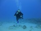 Hawaii Scuba divng 67