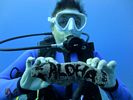 Hawaii Scuba divng 71