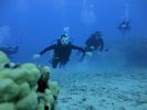 Hawaii Scuba divng 78