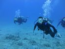 Hawaii Scuba divng 80