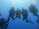 Hawaii Scuba divng 84