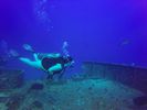 Hawaii Scuba divng 15