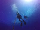 Hawaii Scuba divng 01