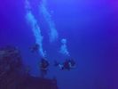 Hawaii Scuba divng 24