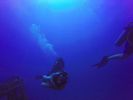 Hawaii Scuba divng 25