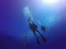 Hawaii Scuba divng 02