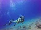 Hawaii Scuba divng 32