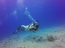 Hawaii Scuba divng 33