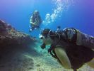 Hawaii Scuba divng 34