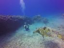 Hawaii Scuba divng 46