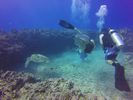 Hawaii Scuba divng 48