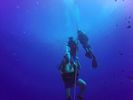 Hawaii Scuba divng 04