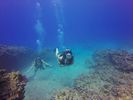 Hawaii Scuba divng 54