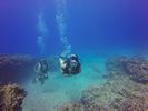 Hawaii Scuba divng 56