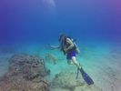 Hawaii Scuba divng 56