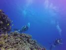 Hawaii Scuba divng 59