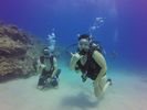 Hawaii Scuba divng 64